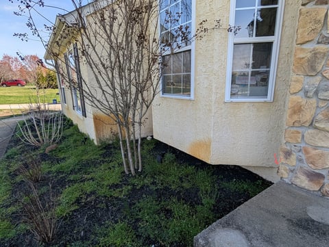 Exterior of a cream and stone house with bare tree and landscaped mulch bed near the foundation