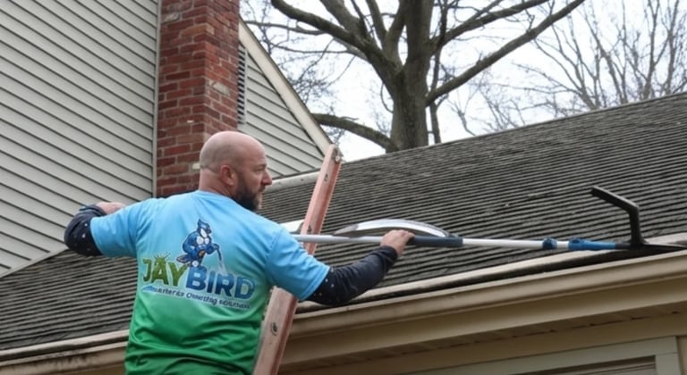 Man in blue and green shirt on ladder cleaning gutters on residential house roof